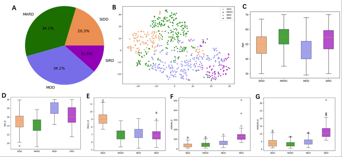 Paper 1 figure